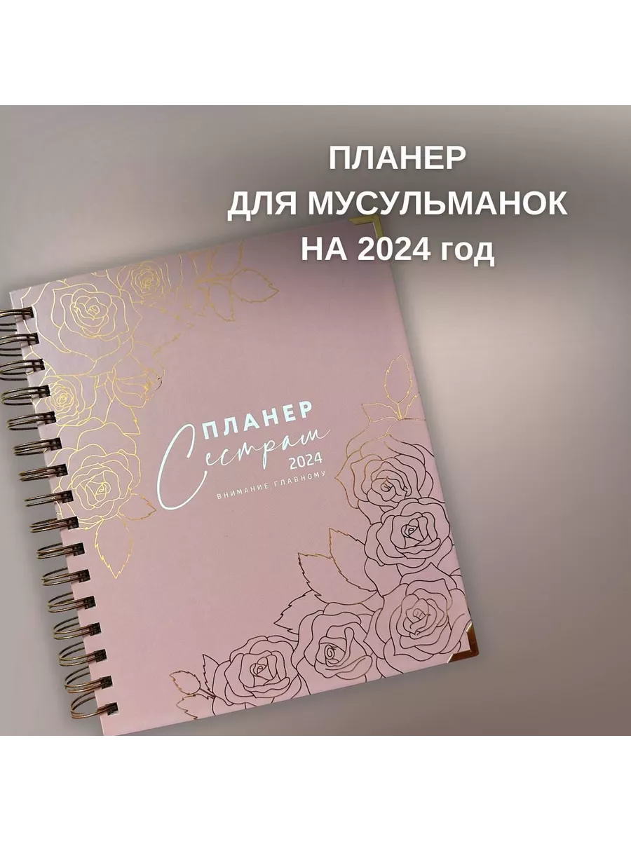 Планер "Сестрам" 2024, внимание главному // new